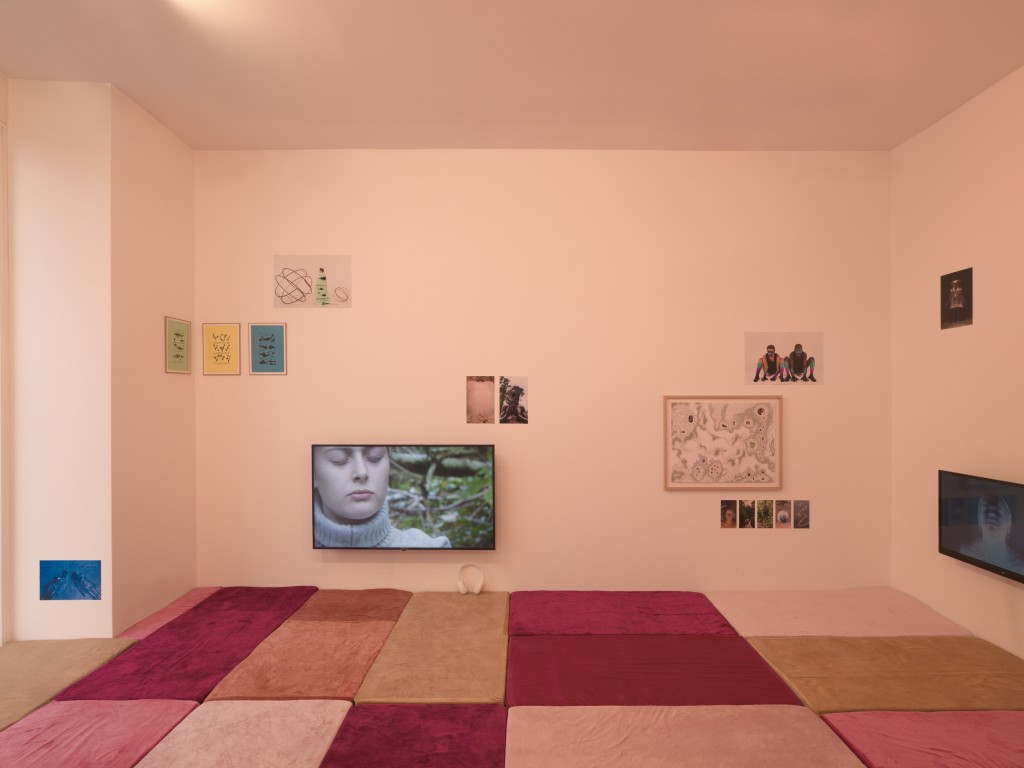 GTL 2025-Violaine Lochu-002